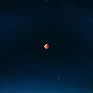 Meet your Posher, Cole